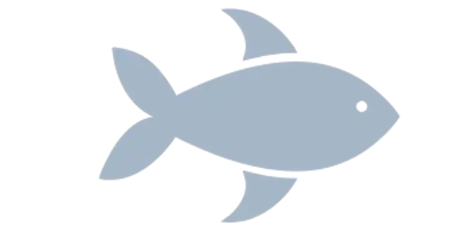 Yellow Bullhead