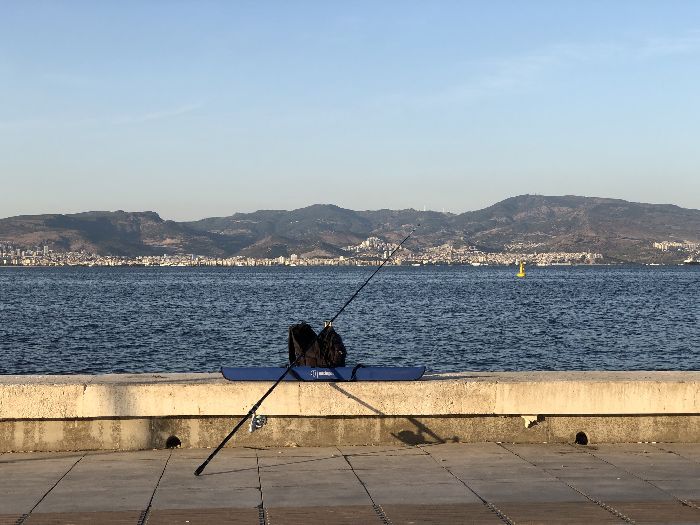 Spot photo 430