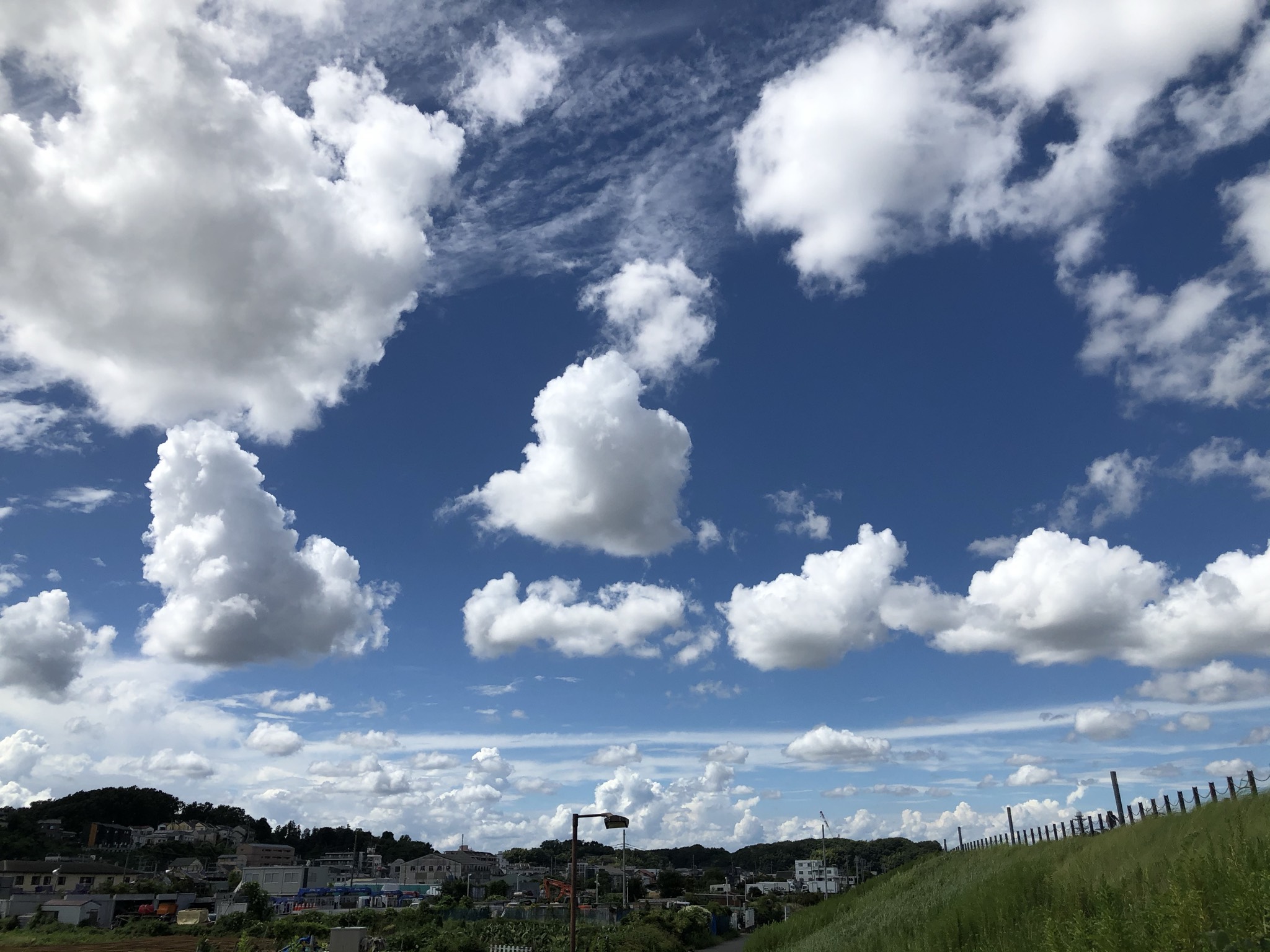 Spot photo 12