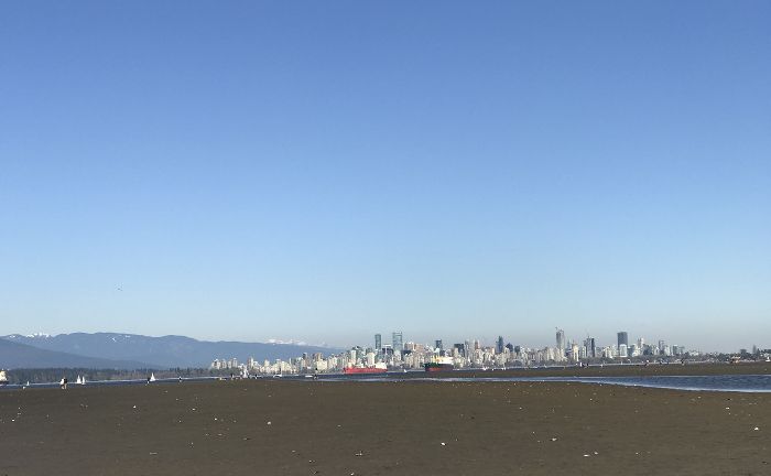 Spot photo 10
