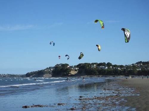 Spot photo 3