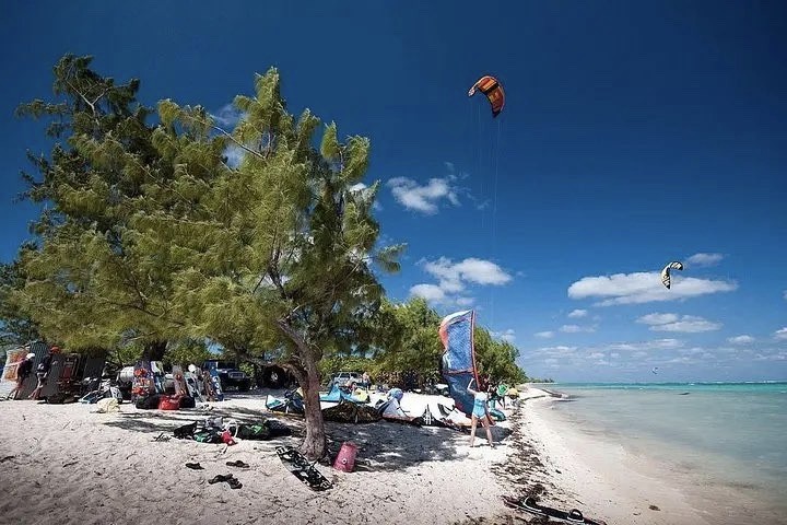 Spot photo 6
