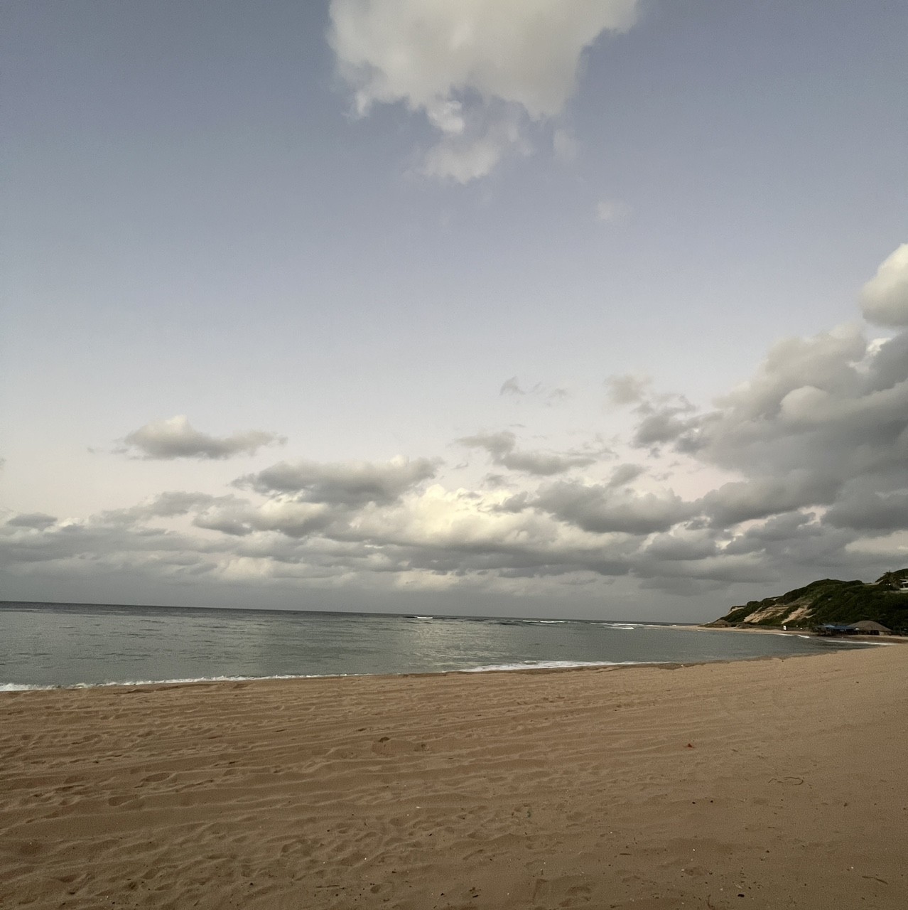 Spot photo 2