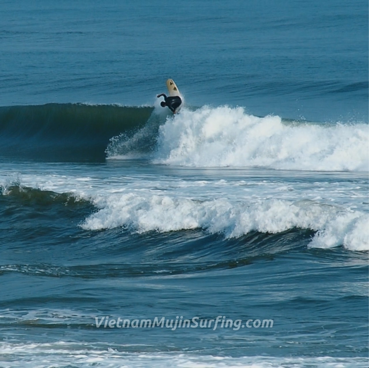 Spot photo 9