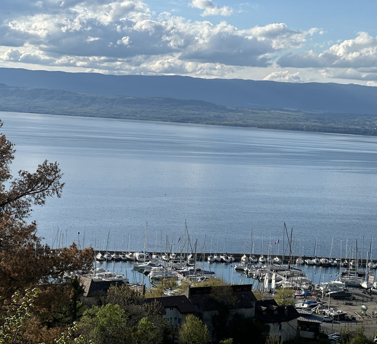 Spot photo 6