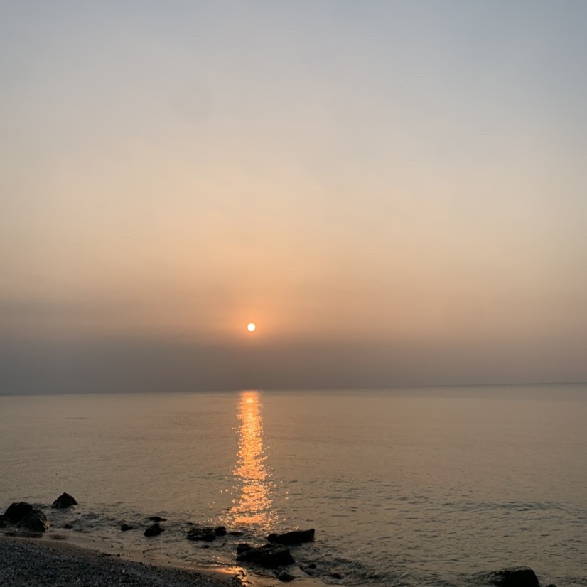 Spot photo 7