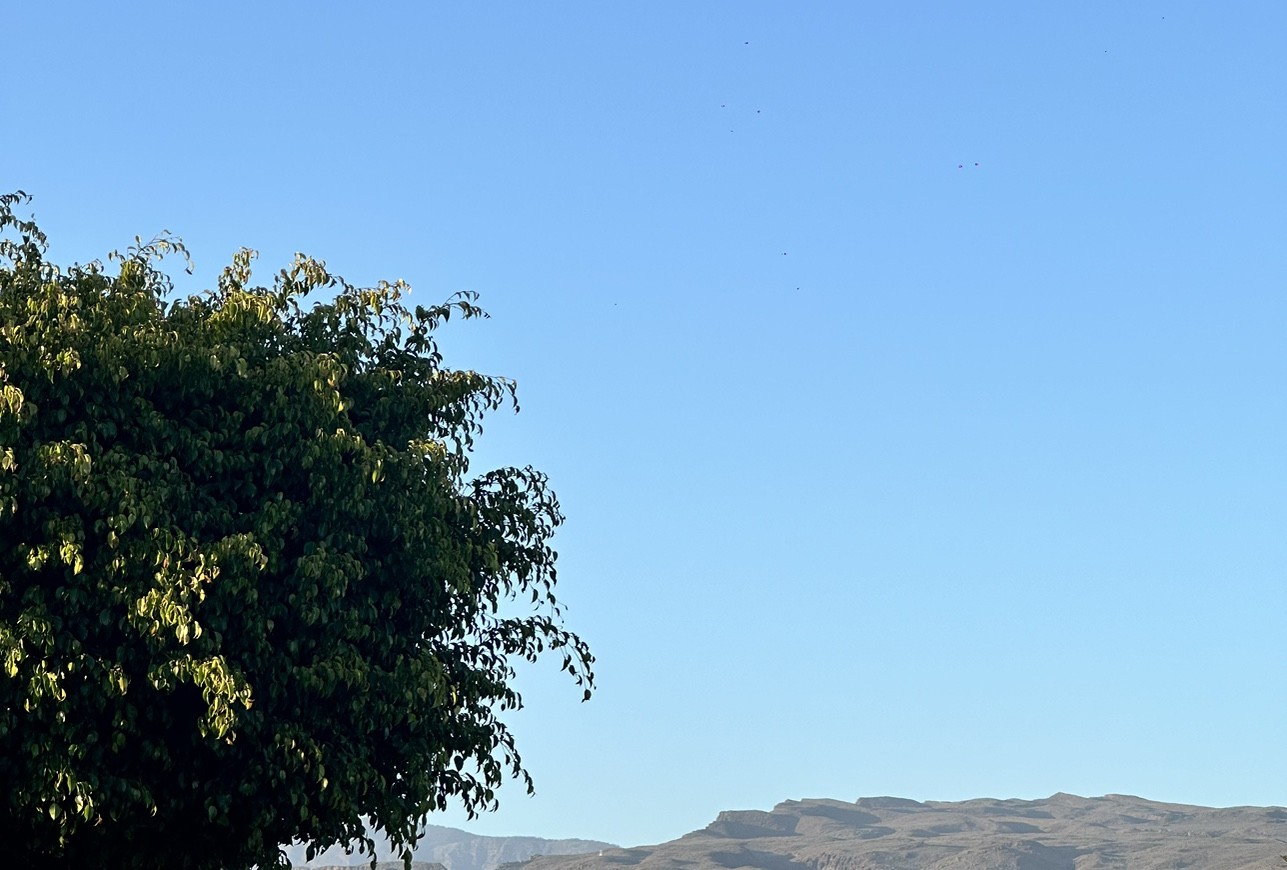 Spot photo 9