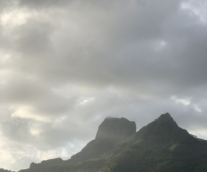 Spot photo 2
