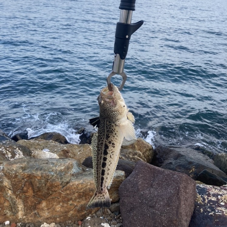 Spot photo 65
