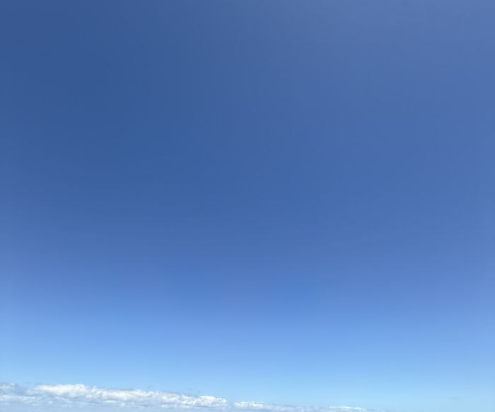 Spot photo 7