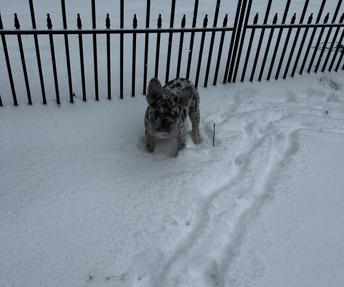Spot photo 3