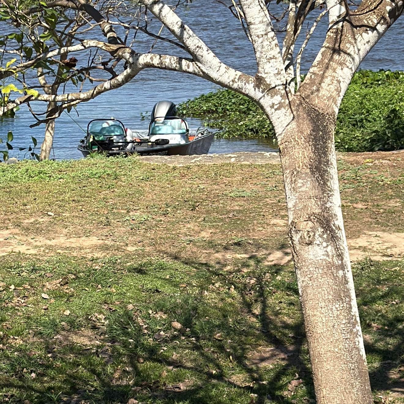 Spot photo 1