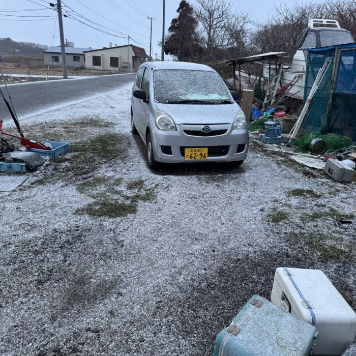 Spot photo 594
