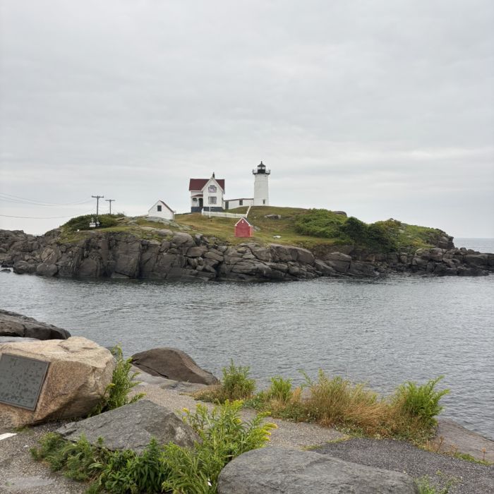 Spot photo 588