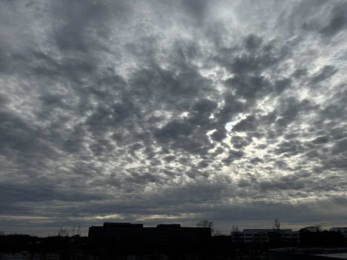 Spot photo 548
