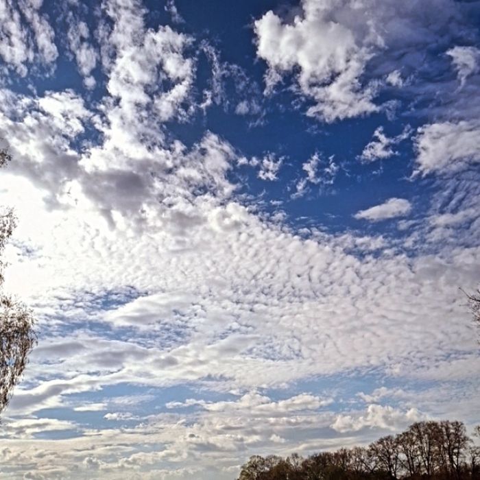 Spot photo 1