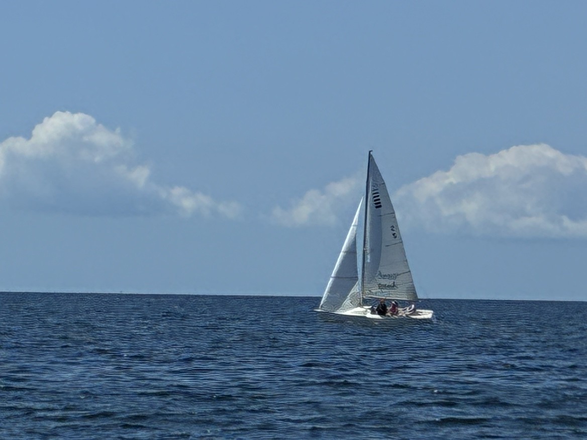 Spot photo 1