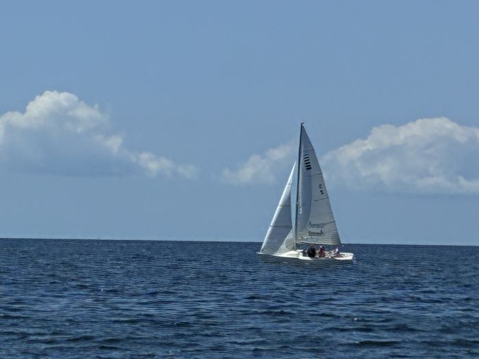 Spot photo 1