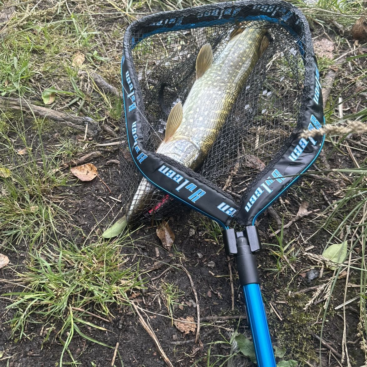 Spot photo 1