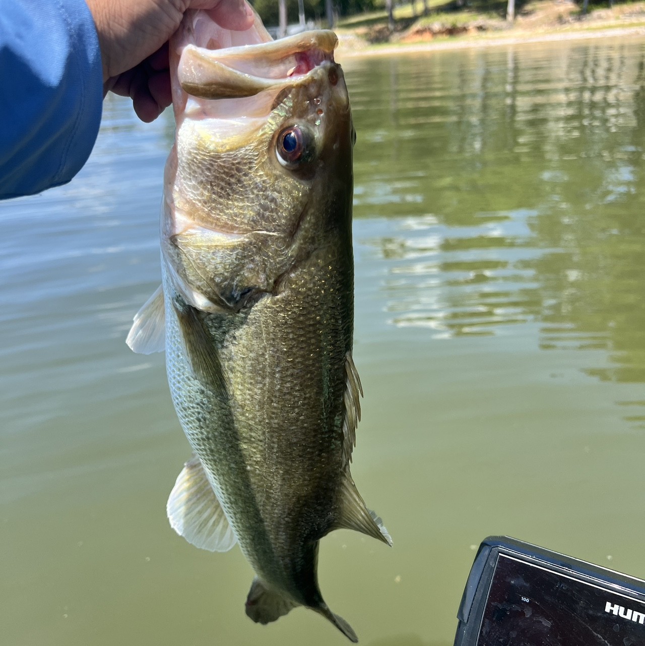 Spot photo 1