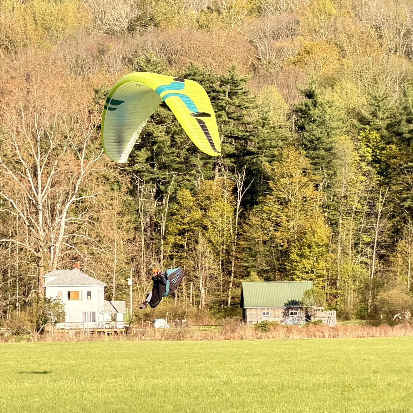 Spot photo 1