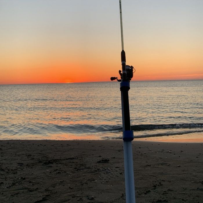 Spot photo 1
