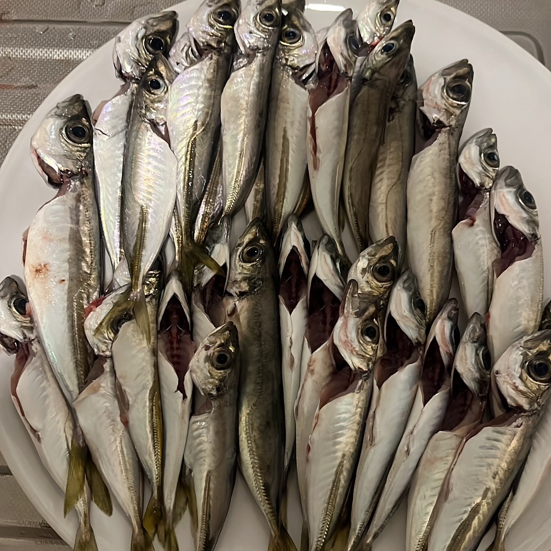 Spot photo 1