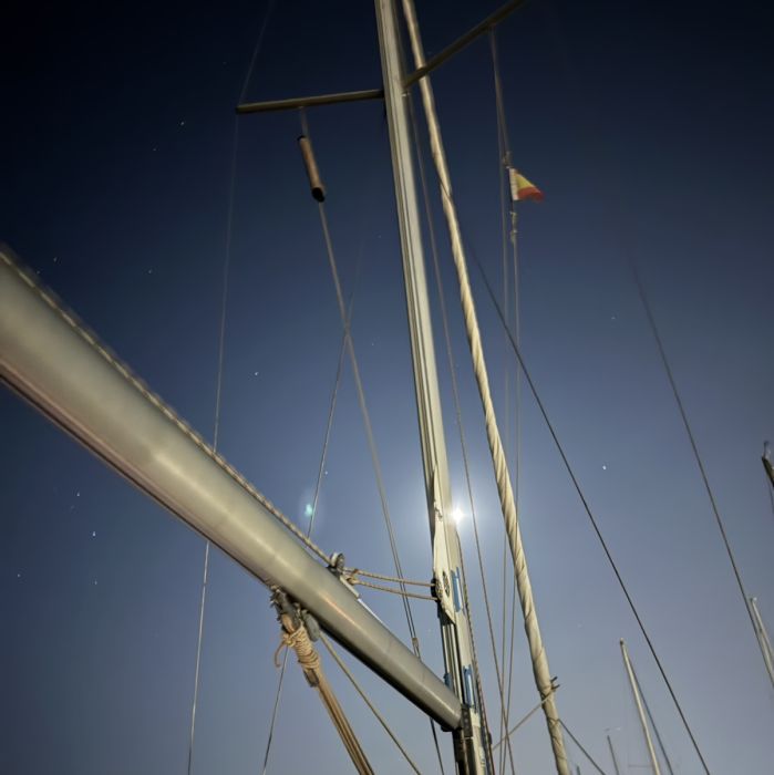 Spot photo 1