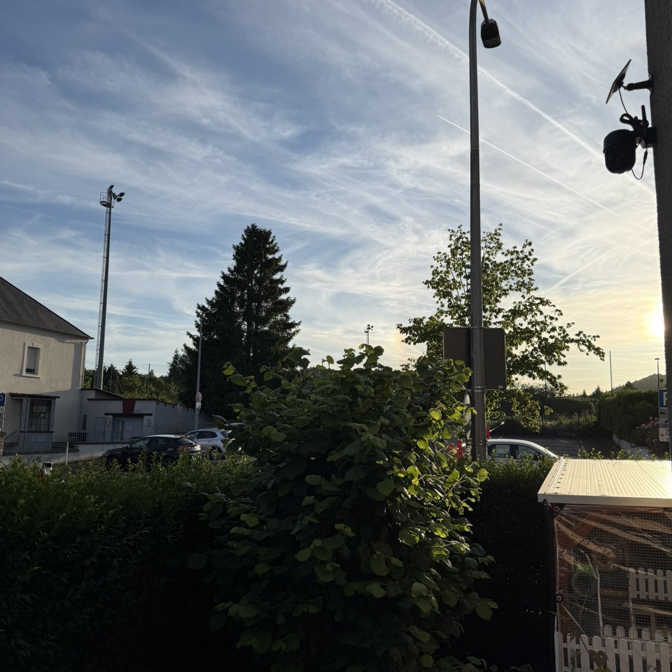 Spot photo 1