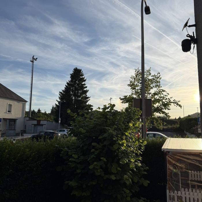 Spot photo 1