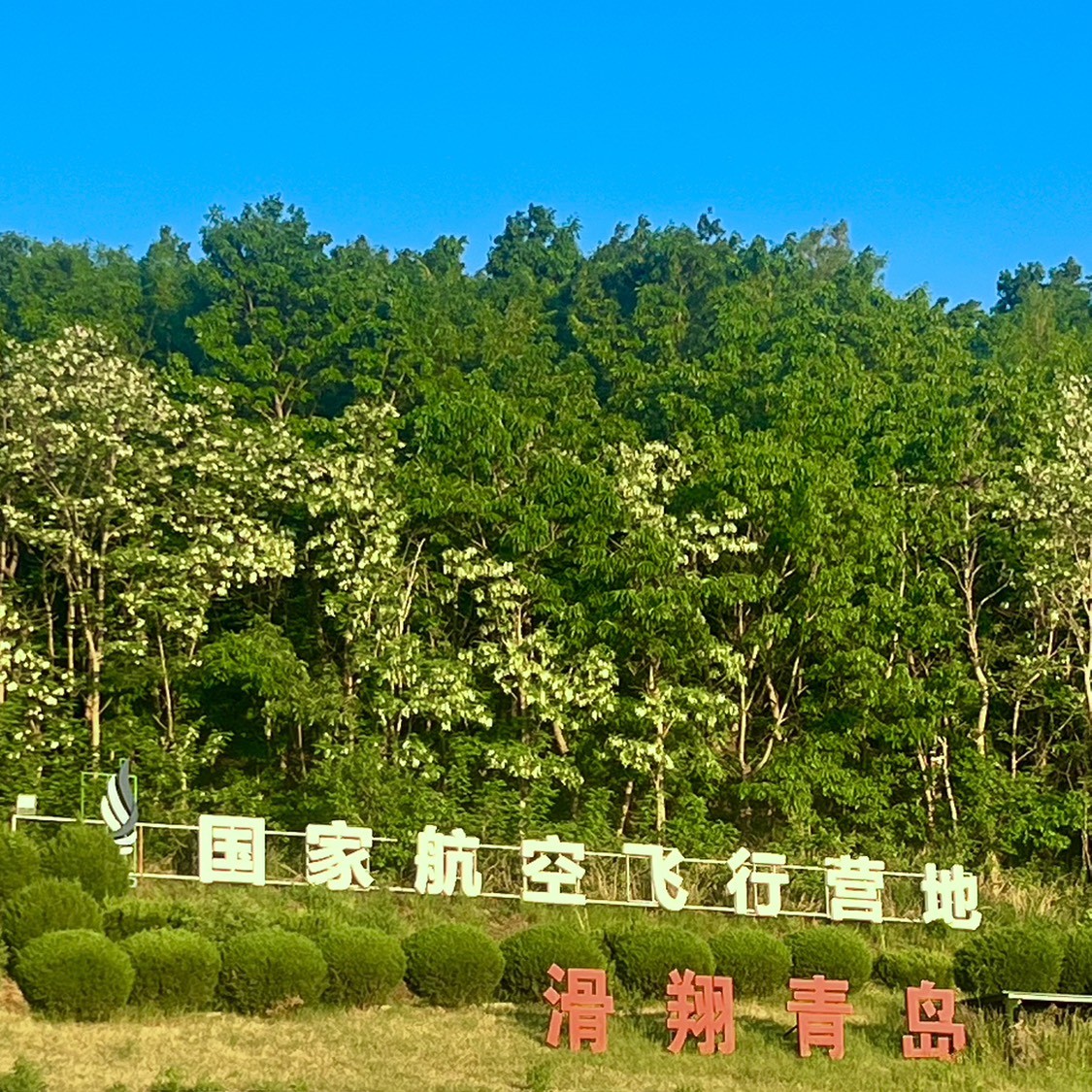Spot photo 2