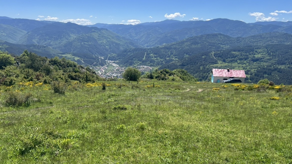 Spot photo 1