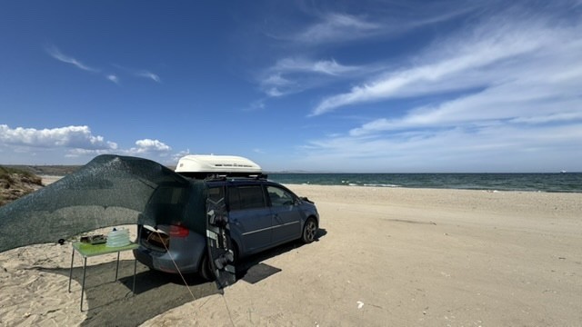 Spot photo 2