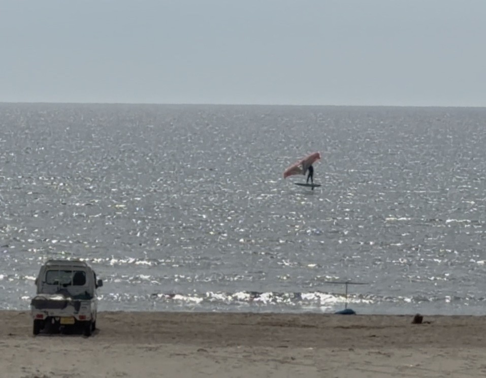 Spot photo 1