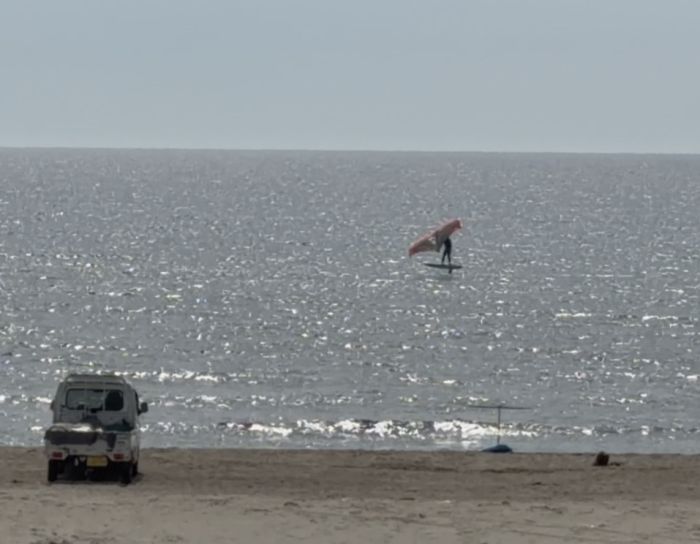 Spot photo 1