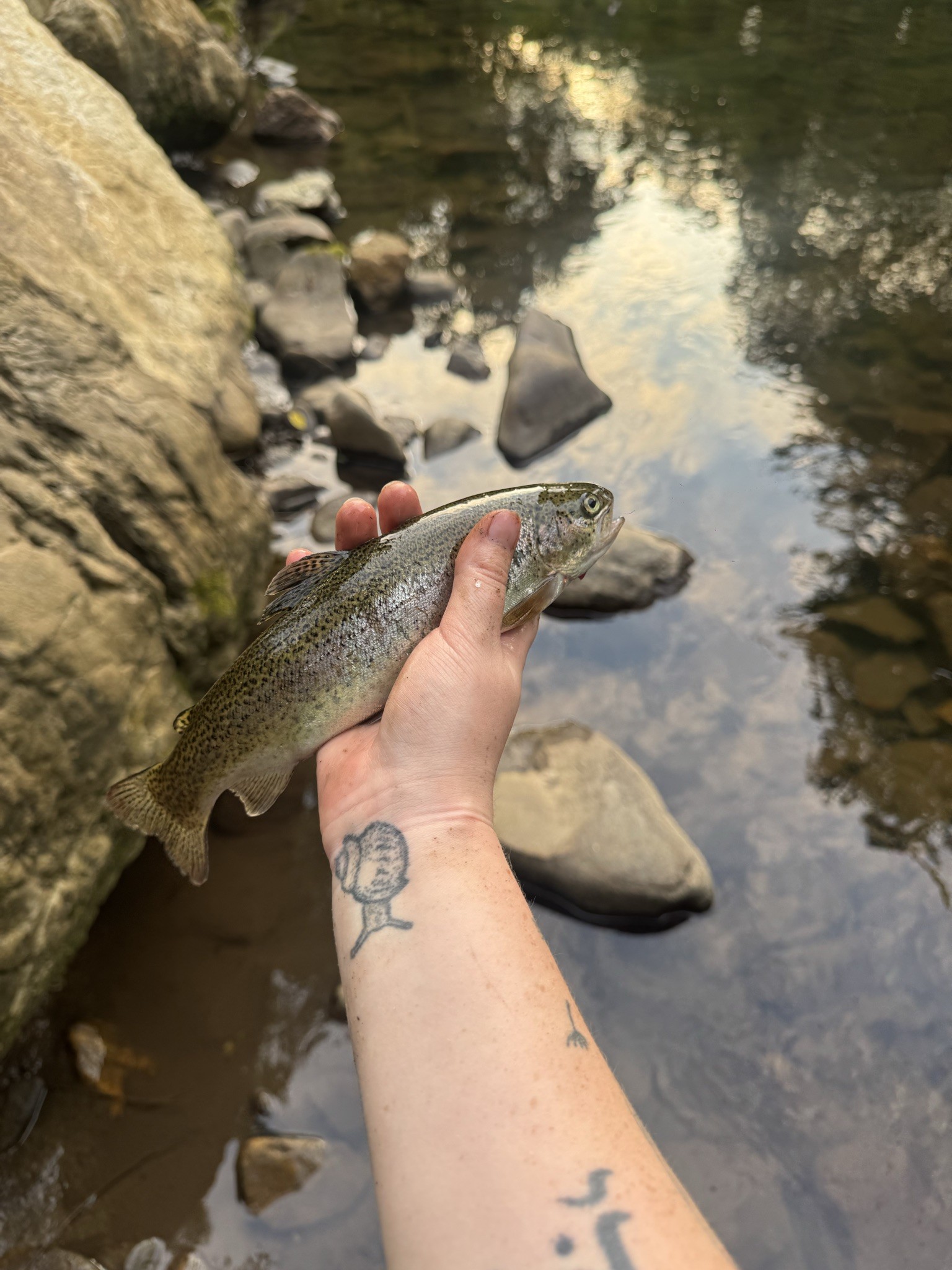 Spot photo 1
