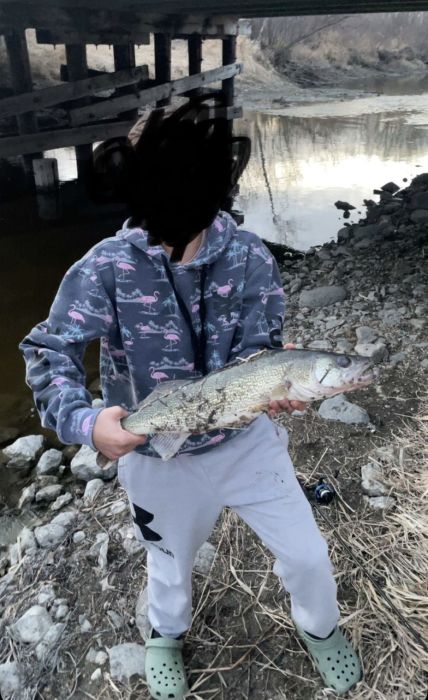 Spot photo 1