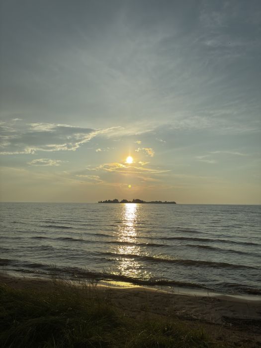 Spot photo 1