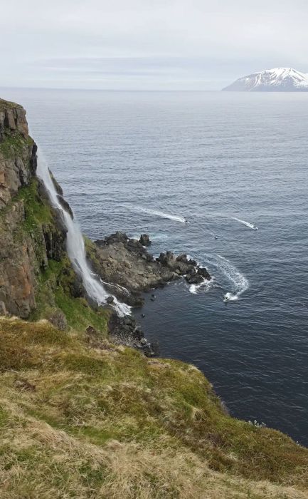 Spot photo 2