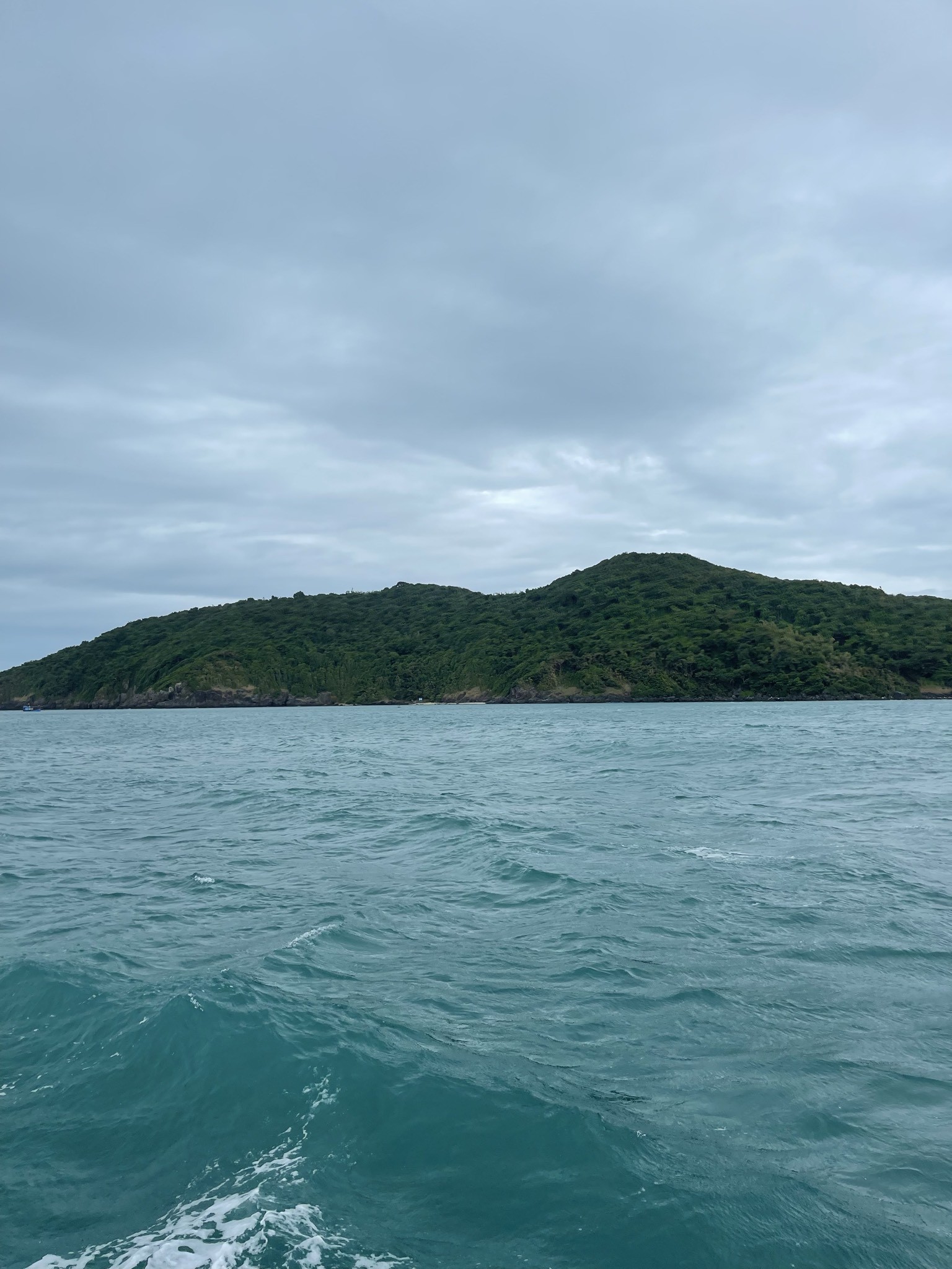 Spot photo 1