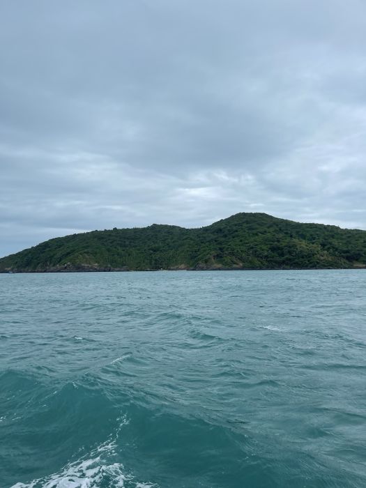 Spot photo 1