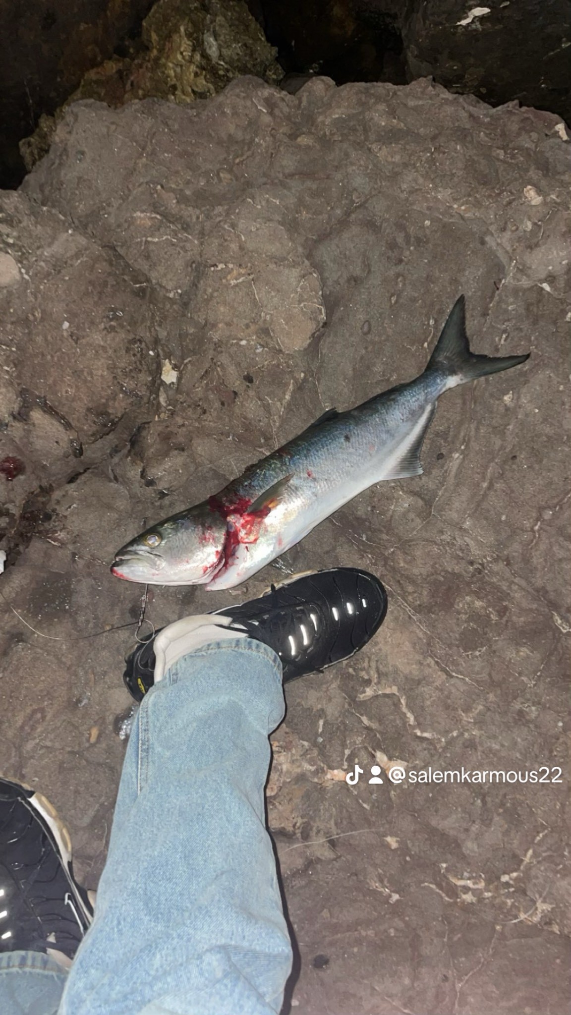 Spot photo 1