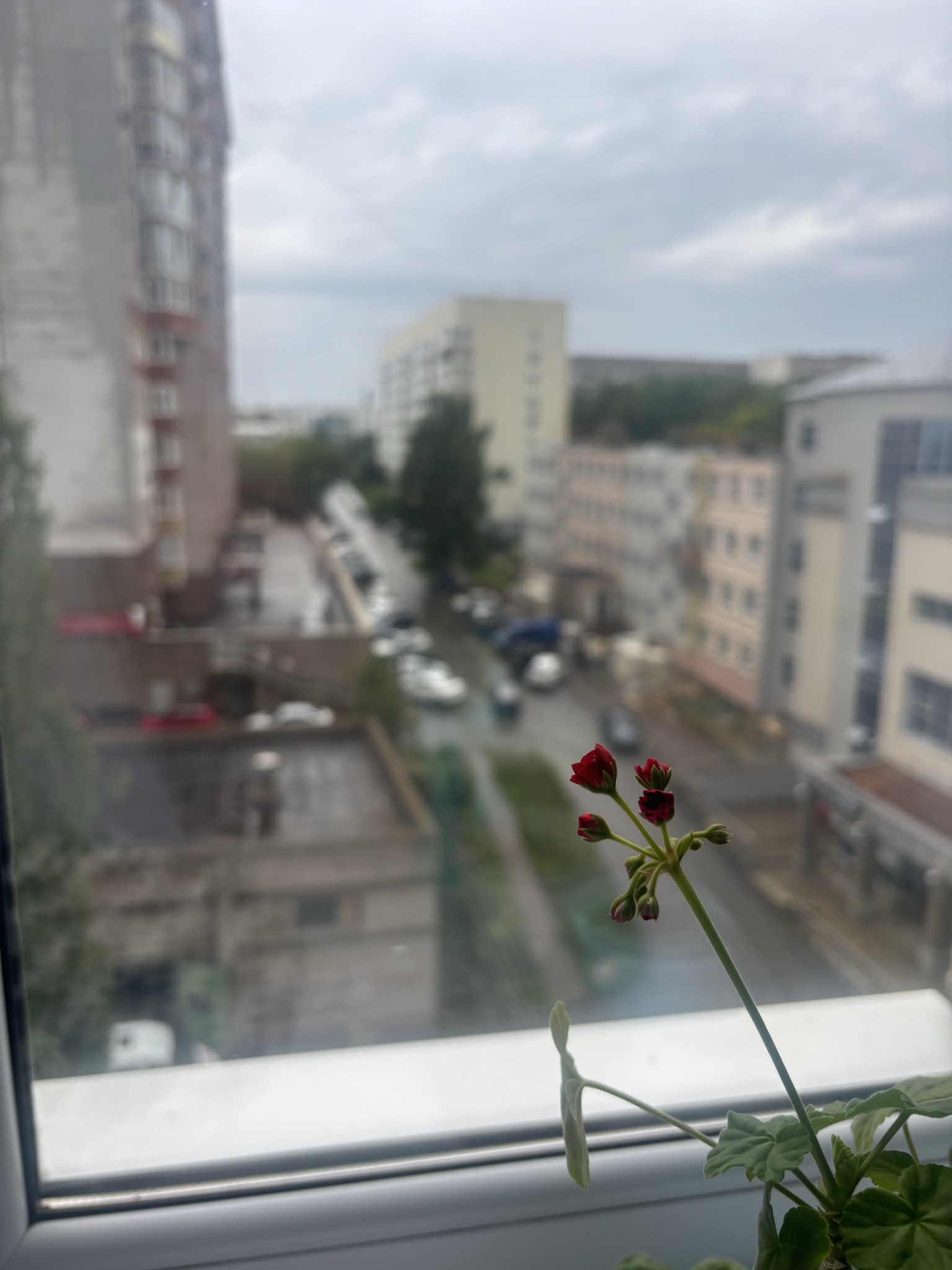 Spot photo 1