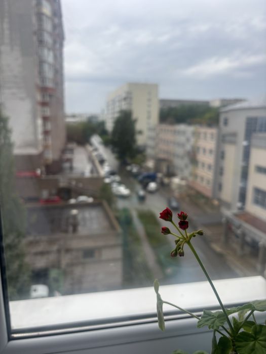 Spot photo 1