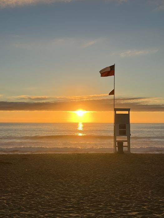 Spot photo 1