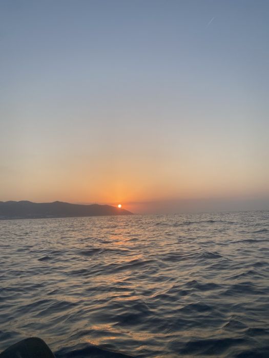 Spot photo 1