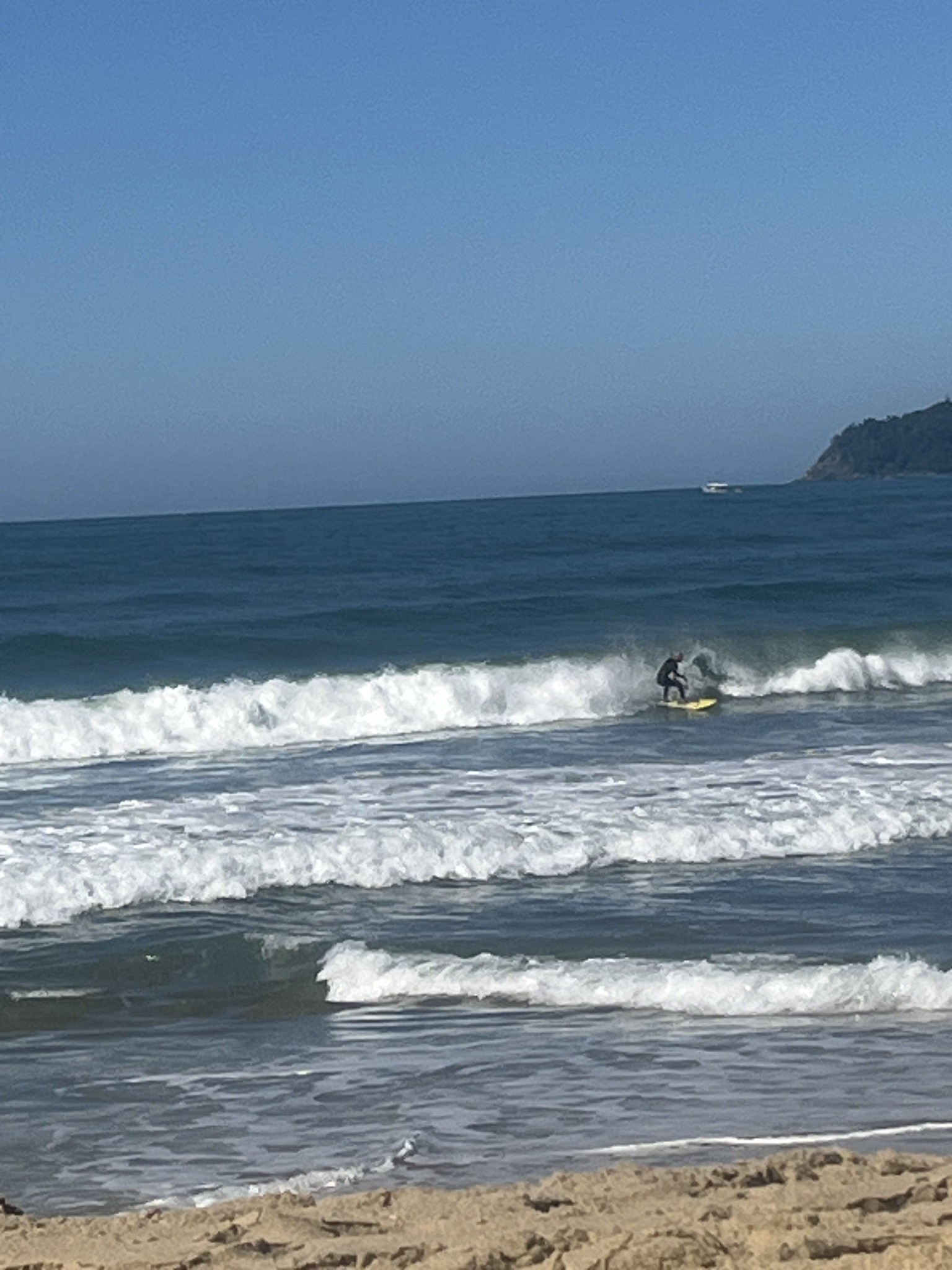 Spot photo 1