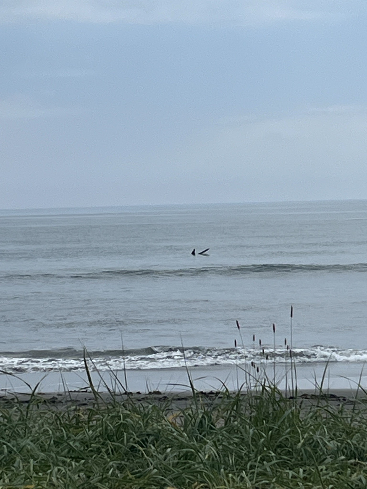 Spot photo 3
