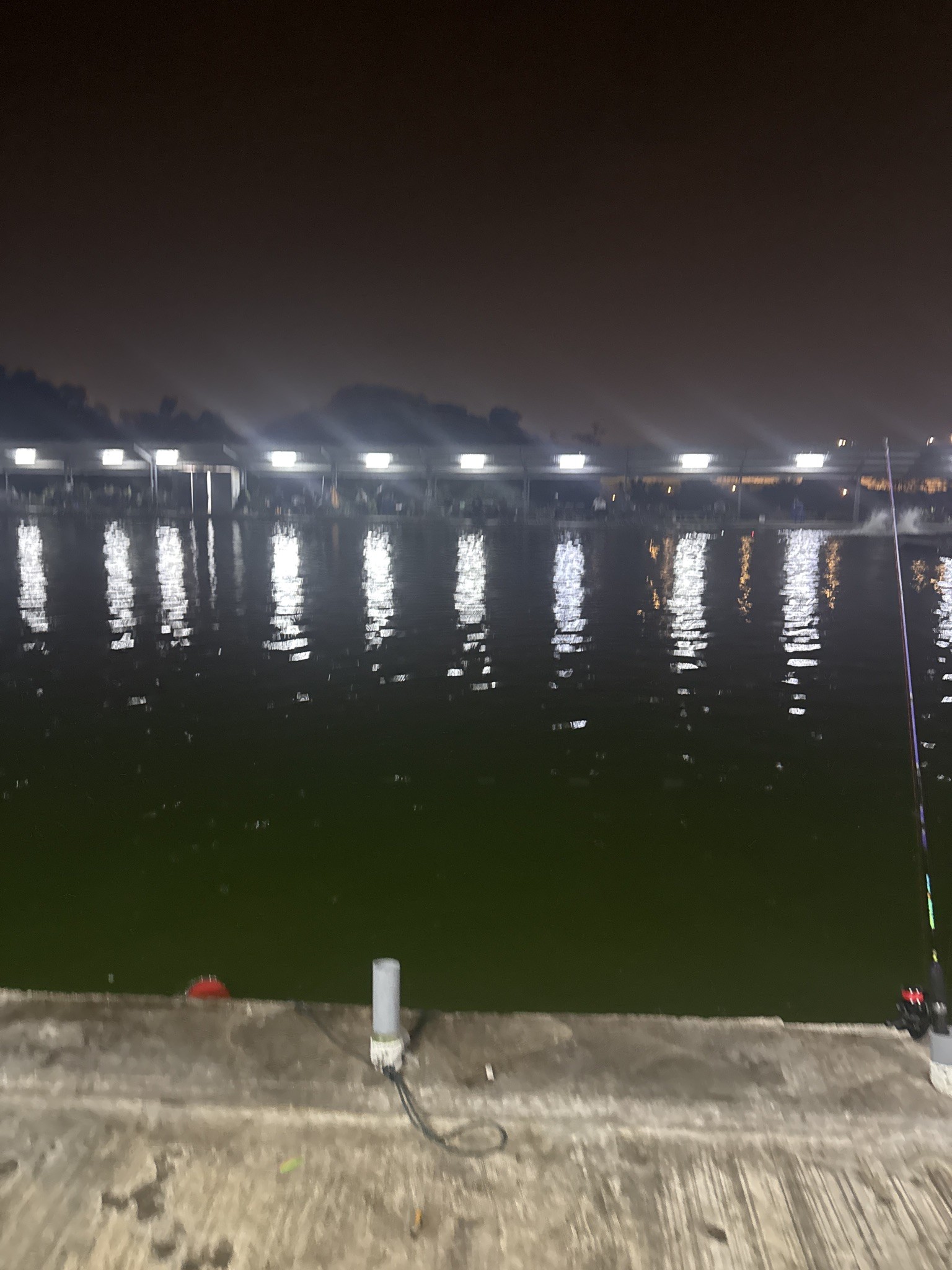 Spot photo 1