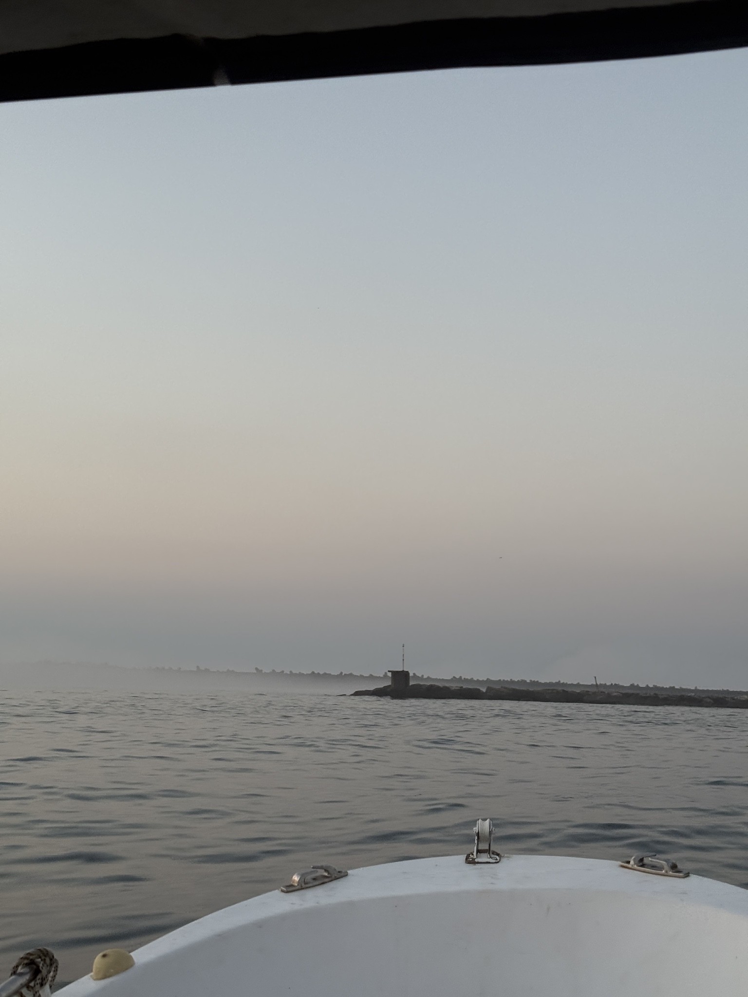 Spot photo 1